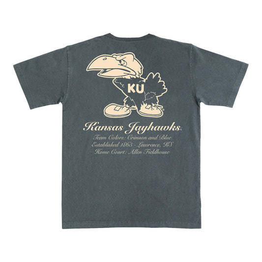 Kansas KU Monochromatic SLAM Tee