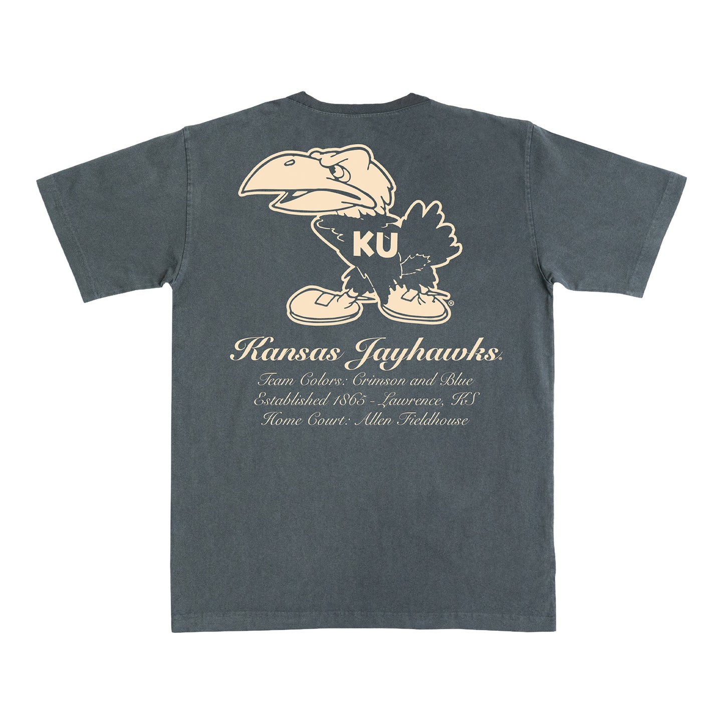 Kansas KU Monochromatic SLAM Tee